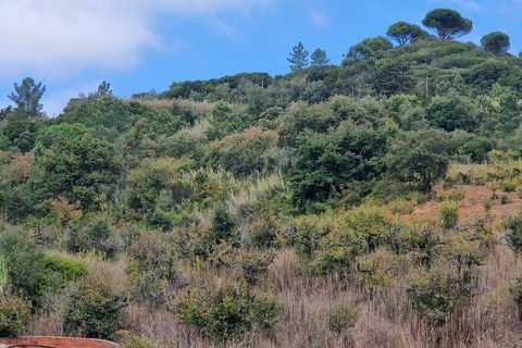 Helårsgrund i Mafra, Lisbon, Mafra - € 98.000 | Ref: 150466 - foto 16