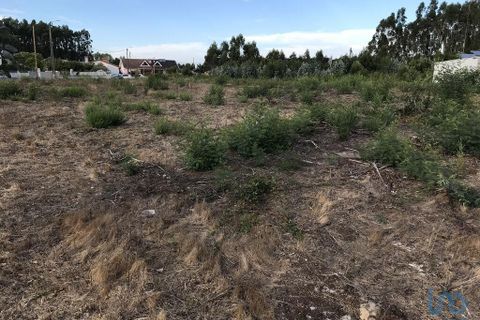 Helårsgrund i Ovar, Aveiro, Ovar - € 135.000 | Ref: 125666 - foto 2
