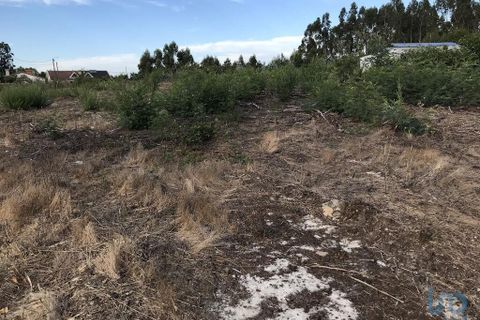 Helårsgrund i Ovar, Aveiro, Ovar - € 135.000 | Ref: 125666 - foto 4