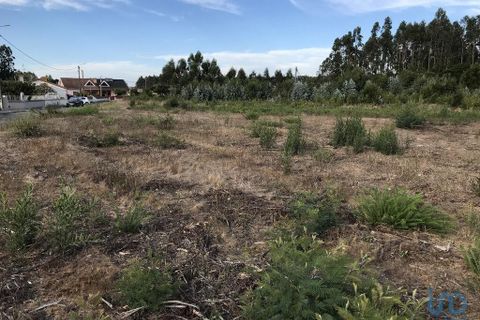 Helårsgrund i Ovar, Aveiro, Ovar - € 135.000 | Ref: 125666 - foto 5