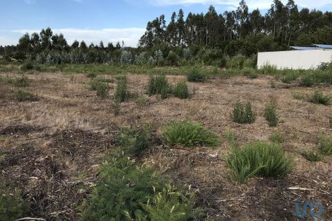 Helårsgrund i Ovar, Aveiro, Ovar - € 135.000 | Ref: 125666 - foto 6