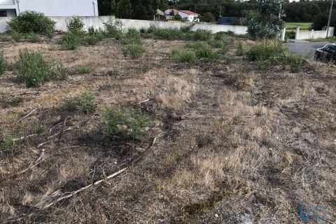 Helårsgrund i Ovar, Aveiro, Ovar - € 135.000 | Ref: 125666 - foto 9