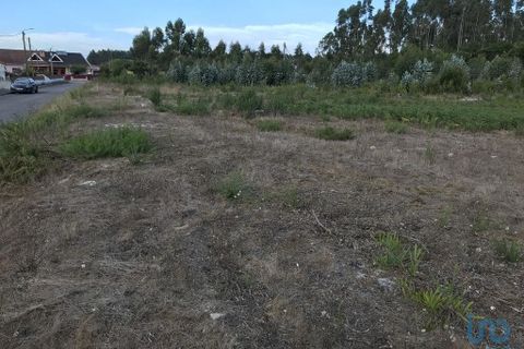 Helårsgrund i Ovar, Aveiro, Ovar - € 135.000 | Ref: 125666 - foto 14