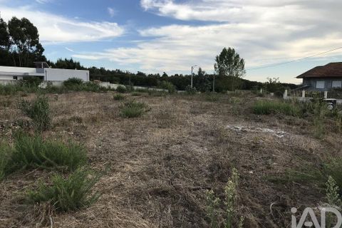 Helårsgrund i Ovar, Aveiro, Ovar - € 135.000 | Ref: 125666 - foto 17