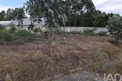 Helårsgrund i Ovar, Aveiro, Ovar - € 135.000 | Ref: 125666 - foto 21