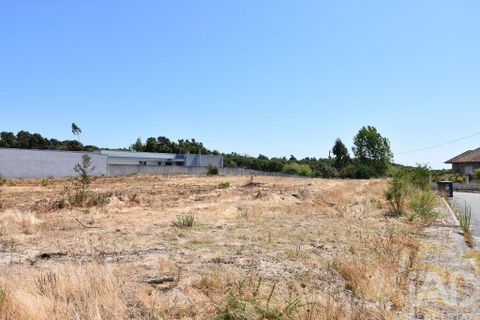 Helårsgrund i Ovar, Aveiro, Ovar - € 135.000 | Ref: 125666 - foto 23