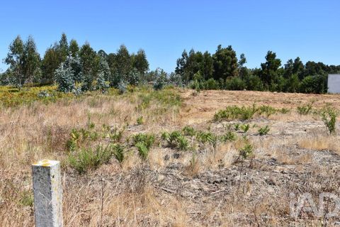 Helårsgrund i Ovar, Aveiro, Ovar - € 135.000 | Ref: 125666 - foto 25