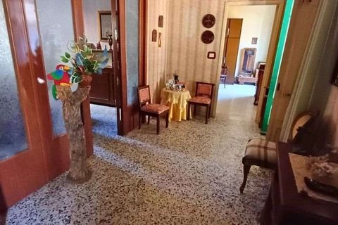 Lejlighed i Cetraro, Cosenza, Cetraro - € 60.000 | Ref: 1370 - foto 28