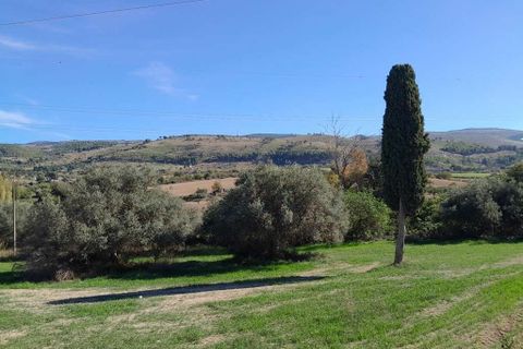 Landejendom i Chiaramonte Gulfi, Ragusa, Chiaramonte Gulfi - € 150.000 | Ref: RP-615572-615572 - foto 1
