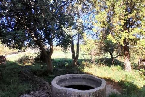 Landejendom i Chiaramonte Gulfi, Ragusa, Chiaramonte Gulfi - € 150.000 | Ref: RP-615572-615572 - foto 3