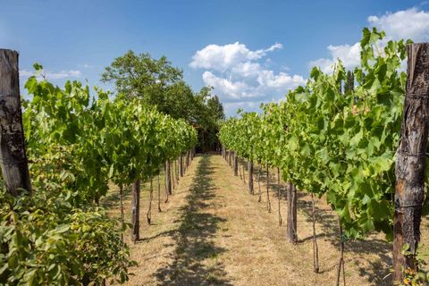 Byhus i Siena, Siena, Siena - € 4.500.000 | Ref: SIE2994-615932 - foto 2