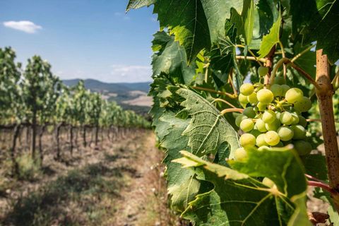 Byhus i Siena, Siena, Siena - € 4.500.000 | Ref: SIE2994-615932 - foto 3