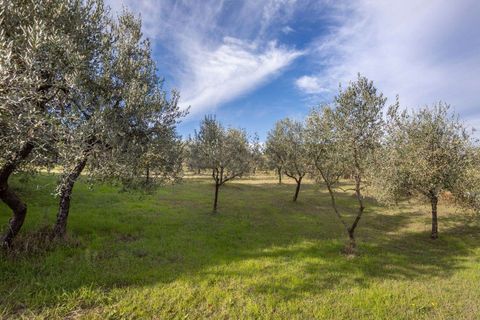 Byhus i Siena, Siena, Siena - € 4.500.000 | Ref: SIE2994-615932 - foto 4