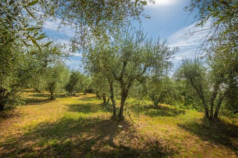 Byhus i Siena, Siena, Siena - € 4.500.000 | Ref: SIE2994-615932 - foto 5