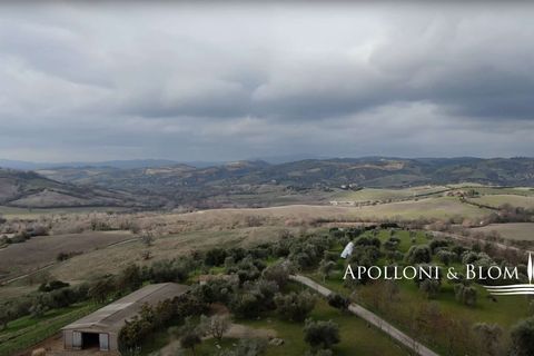 Landejendom i Arcidosso, Grosseto, Arcidosso - € 9.000.000 | Ref: GRO2747-616524 - foto 13