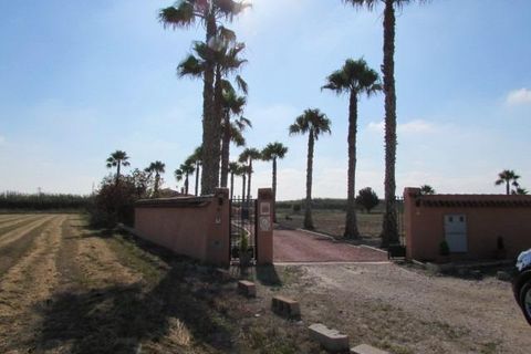 Finca i Dolores, Alicante, Dolores - € 445.000 | Ref: MCO-20382 - foto 31