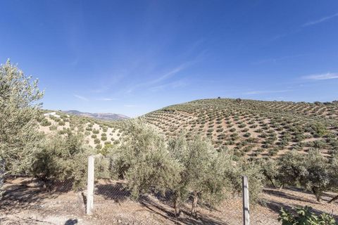 Landejendom i Montefrio, Granada, Montefrio - € 149.000 | Ref: Gr3940/8251 - foto 29