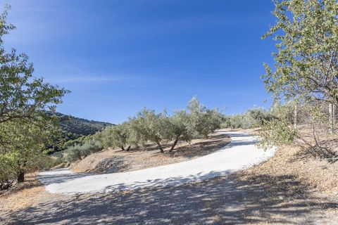Landejendom i Montefrio, Granada, Montefrio - € 149.000 | Ref: Gr3940/8251 - foto 33