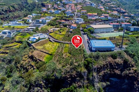 Helårsgrund i Calheta, Madeira, Calheta - € 650.000 | Ref: 081250222 - foto 5