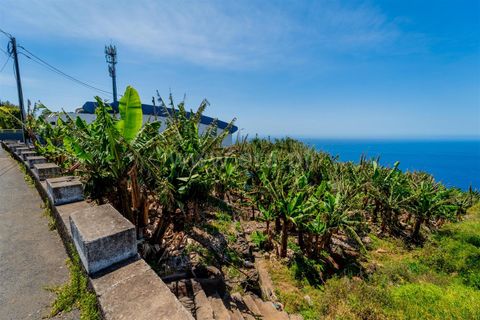 Helårsgrund i Calheta, Madeira, Calheta - € 650.000 | Ref: 081250222 - foto 6