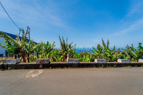 Helårsgrund i Calheta, Madeira, Calheta - € 650.000 | Ref: 081250222 - foto 7