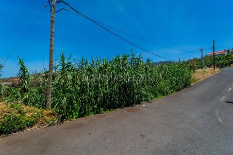 Helårsgrund i Calheta, Madeira, Calheta - € 650.000 | Ref: 081250222 - foto 9