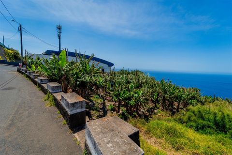 Helårsgrund i Calheta, Madeira, Calheta - € 650.000 | Ref: 081250222 - foto 10