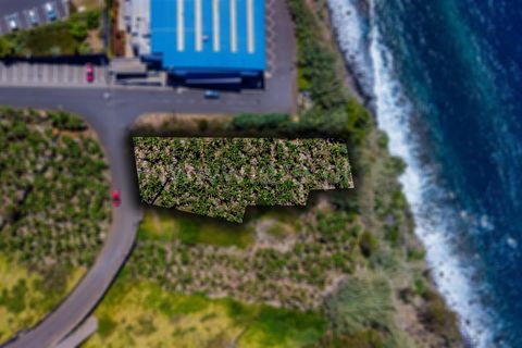 Helårsgrund i Calheta, Madeira, Calheta - € 650.000 | Ref: 081250222 - foto 2