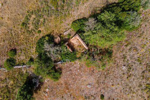 Helårsgrund i Lagoa, Faro, Lagoa - € 130.000 | Ref: 119200110 - foto 13