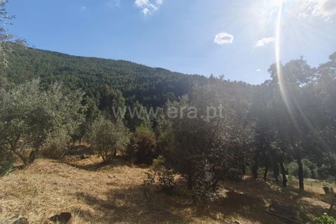 Villa i Fundao, Castelo Branco, Fundao - € 29.500 | Ref: 255250186 - foto 9