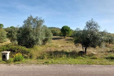 Terra a Leiria, Leiria, Leiria - € 10.200 | Ref: 108865 - foto 2