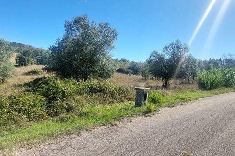 Terra a Leiria, Leiria, Leiria - € 10.200 | Ref: 108865 - foto 3