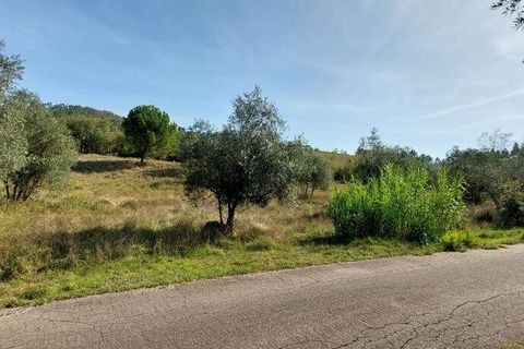Terra a Leiria, Leiria, Leiria - € 10.200 | Ref: 108865 - foto 4