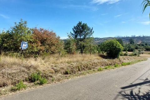 Terra a Leiria, Leiria, Leiria - € 32.000 | Ref: 92363 - foto 2