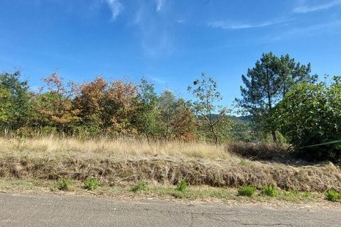 Terra a Leiria, Leiria, Leiria - € 32.000 | Ref: 92363 - foto 10