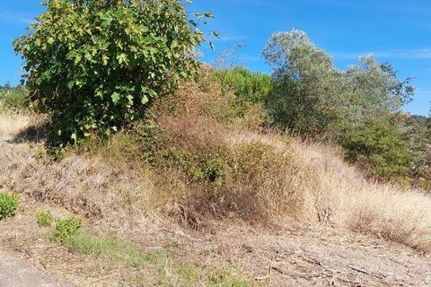 Terra a Leiria, Leiria, Leiria - € 32.000 | Ref: 92363 - foto 11