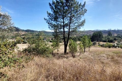 Terra a Leiria, Leiria, Leiria - € 32.000 | Ref: 92363 - foto 3