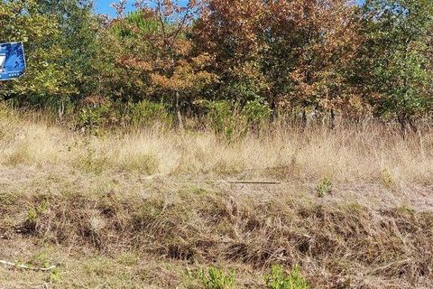 Terra a Leiria, Leiria, Leiria - € 32.000 | Ref: 92363 - foto 12