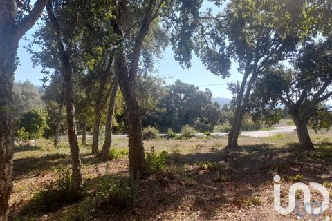 Terra a Alcobaca, Leiria, Alcobaca - € 45.000 | Ref: 709619 - foto 2