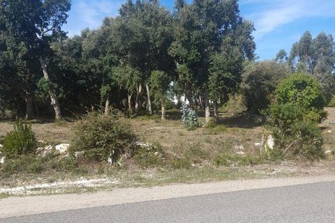 Terra a Alcobaca, Leiria, Alcobaca - € 45.000 | Ref: 709619 - foto 3