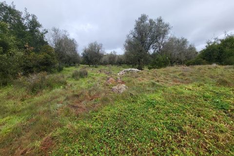 Terra a Borba, Evora, Borba - € 110.000 | Ref: JG1921 - foto 3