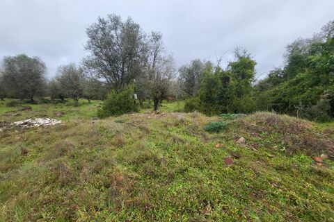 Terra a Borba, Evora, Borba - € 110.000 | Ref: JG1921 - foto 4