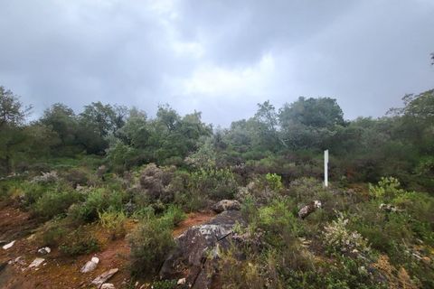 Terra a Borba, Evora, Borba - € 110.000 | Ref: JG1921 - foto 11