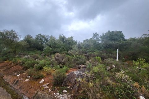 Terra a Borba, Evora, Borba - € 110.000 | Ref: JG1921 - foto 13