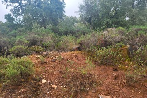 Terra a Borba, Evora, Borba - € 110.000 | Ref: JG1921 - foto 14