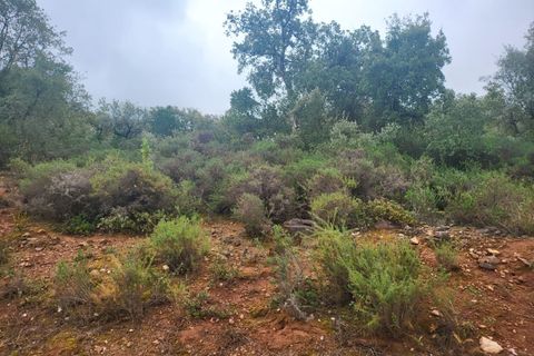 Terra a Borba, Evora, Borba - € 110.000 | Ref: JG1921 - foto 15