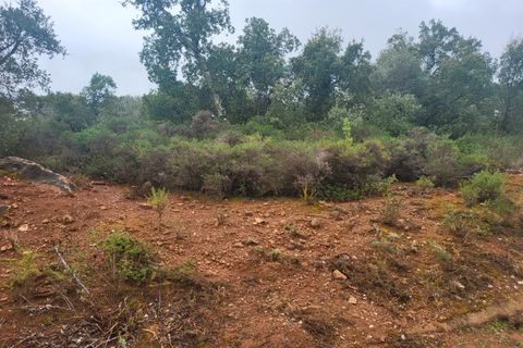 Terra a Borba, Evora, Borba - € 110.000 | Ref: JG1921 - foto 16
