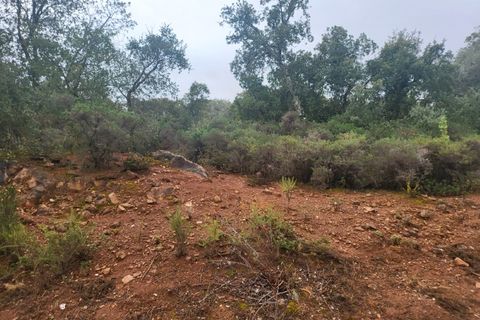Terra a Borba, Evora, Borba - € 110.000 | Ref: JG1921 - foto 17