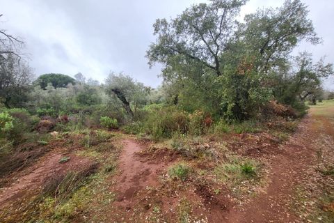 Terra a Borba, Evora, Borba - € 110.000 | Ref: JG1921 - foto 18