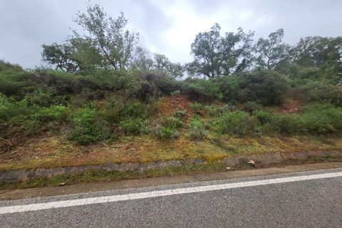 Terra a Borba, Evora, Borba - € 110.000 | Ref: JG1921 - foto 19